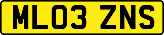 ML03ZNS