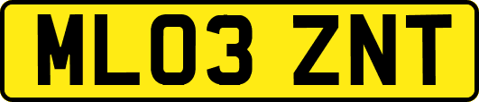 ML03ZNT