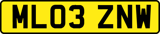 ML03ZNW