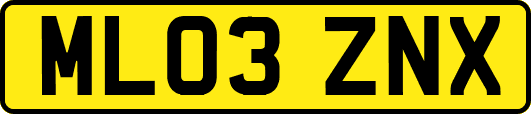 ML03ZNX