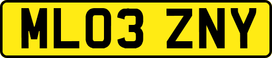 ML03ZNY