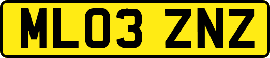 ML03ZNZ