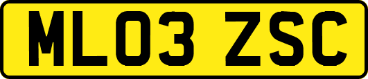 ML03ZSC