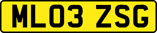 ML03ZSG
