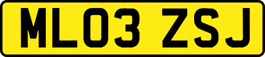 ML03ZSJ