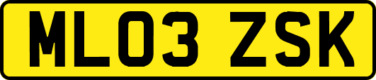 ML03ZSK
