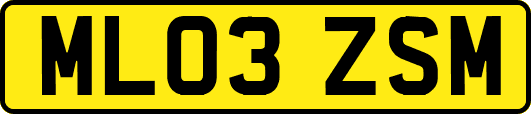ML03ZSM