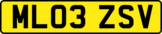 ML03ZSV