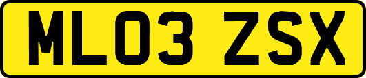 ML03ZSX