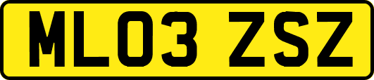 ML03ZSZ