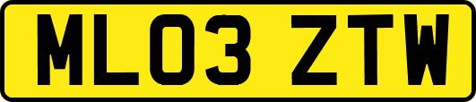 ML03ZTW