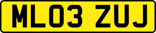 ML03ZUJ