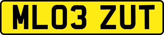 ML03ZUT