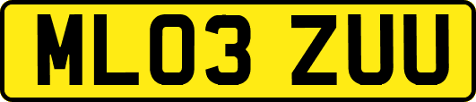 ML03ZUU