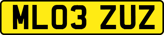 ML03ZUZ
