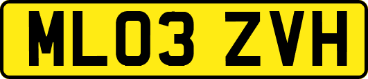 ML03ZVH