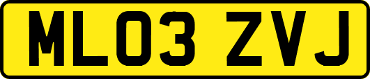 ML03ZVJ