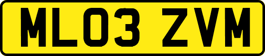 ML03ZVM
