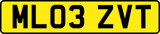 ML03ZVT