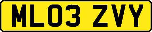 ML03ZVY