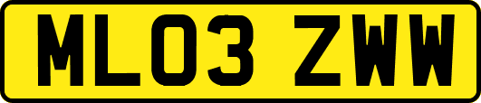 ML03ZWW