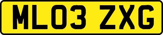 ML03ZXG
