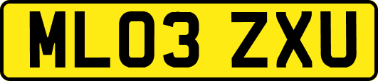 ML03ZXU