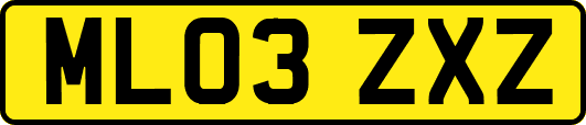 ML03ZXZ