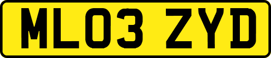 ML03ZYD