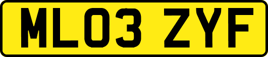 ML03ZYF
