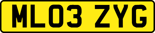 ML03ZYG