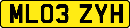 ML03ZYH