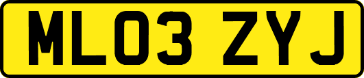 ML03ZYJ