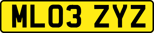 ML03ZYZ