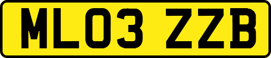 ML03ZZB