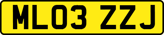 ML03ZZJ