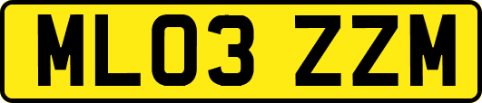 ML03ZZM