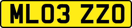 ML03ZZO