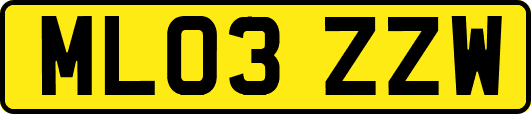 ML03ZZW