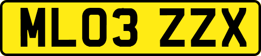 ML03ZZX
