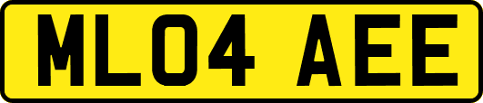 ML04AEE