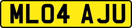 ML04AJU