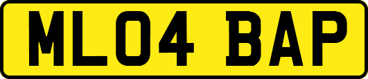 ML04BAP