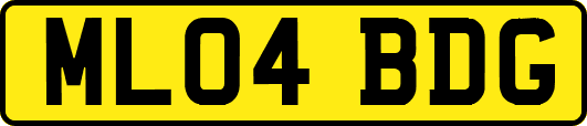 ML04BDG