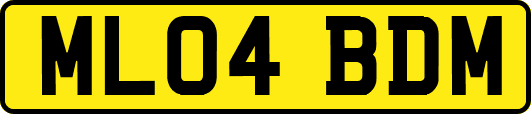 ML04BDM