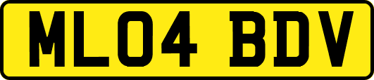 ML04BDV