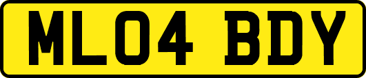 ML04BDY