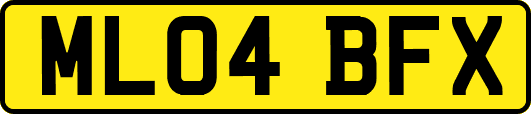ML04BFX