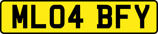 ML04BFY
