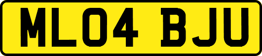 ML04BJU